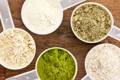 Advantages and Varieties of Plant Proteins