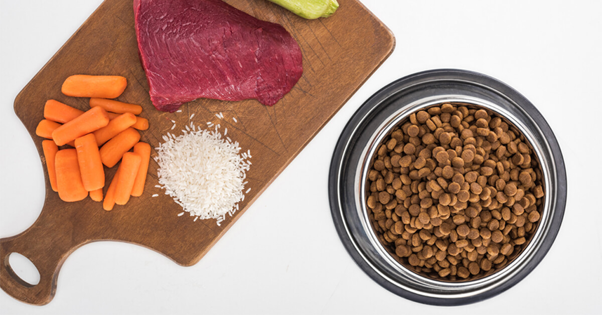 Key Ingredients in Pet Food